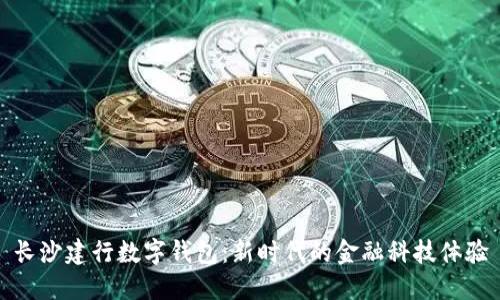 长沙建行数字钱包：新时代的金融科技体验