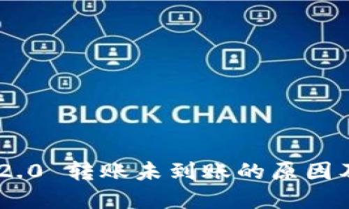 Tokenim 2.0 转账未到账的原因及解决方案