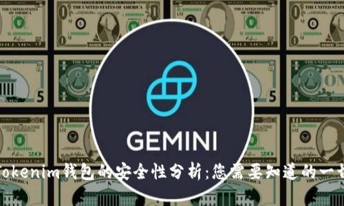 Tokenim钱包的安全性分析：您需要知道的一切