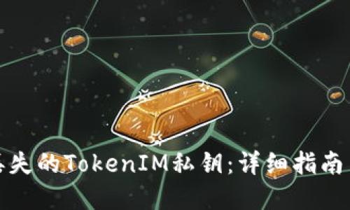 如何找回丢失的TokenIM私钥：详细指南与解决方案