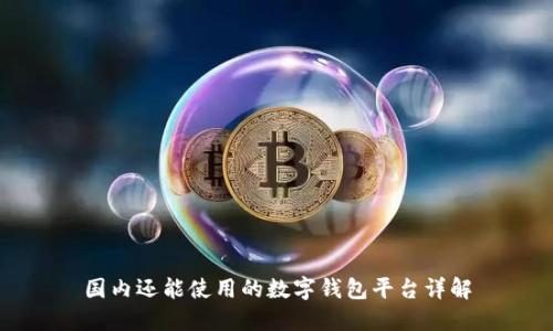 国内还能使用的数字钱包平台详解