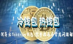 如何导出Tokenim钱包：完整