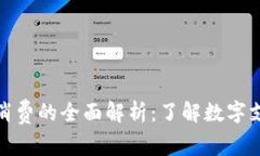 数字钱包网上消费的全面