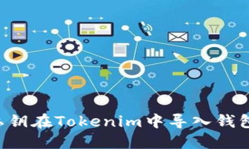 如何通过私钥在Tokenim中导入钱包：完整指南