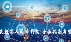 如何挂失数字人民币钱包