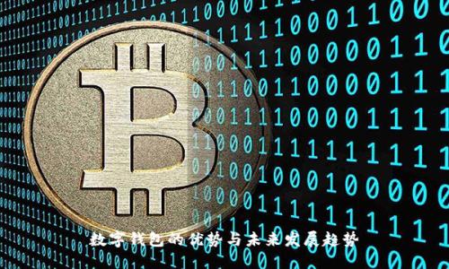 数字钱包的优势与未来发展趋势
