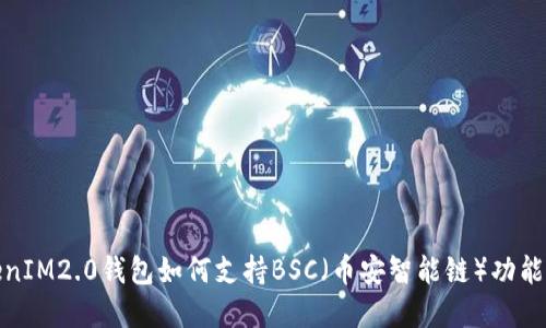 TokenIM2.0钱包如何支持BSC（币安智能链）功能详解