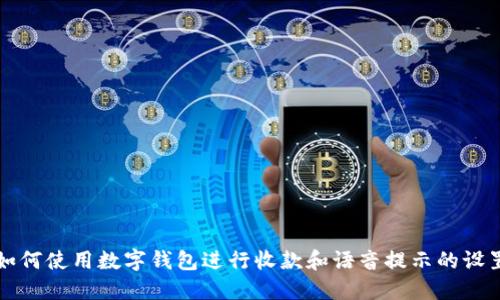 如何使用数字钱包进行收款和语音提示的设置