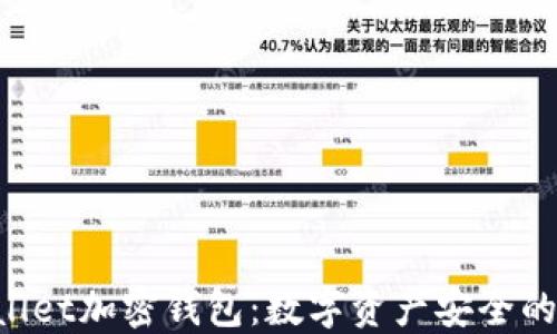 
bianziBallet加密钱包：数字资产安全的先锋之选