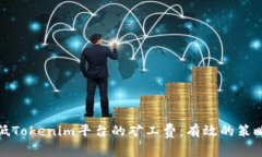 如何降低Tokenim平台的矿工