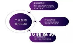 如何将Tokenim 2.0转换为DE