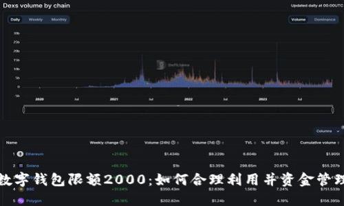 数字钱包限额2000：如何合理利用并资金管理