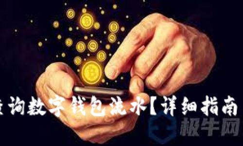 如何查询数字钱包流水？详细指南与技巧