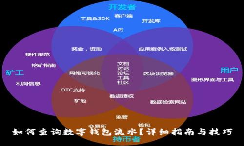 如何查询数字钱包流水？详细指南与技巧