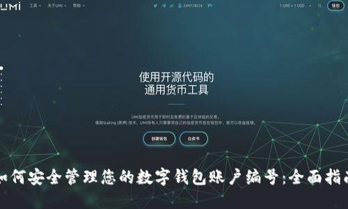 如何安全管理您的数字钱包账户编号：全面指南
