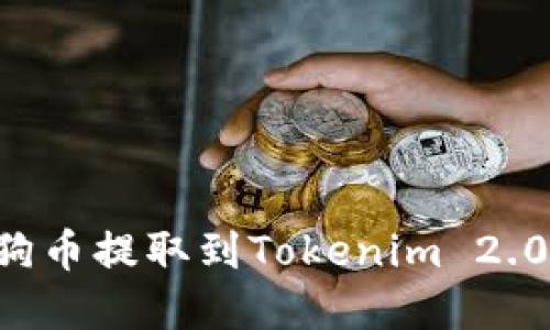 如何将狗狗币提取到Tokenim 2.0：完整指南