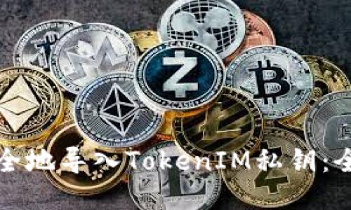 如何安全地导入TokenIM私钥：全面指南