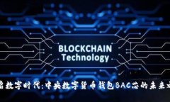 开启数字时代：中央数字