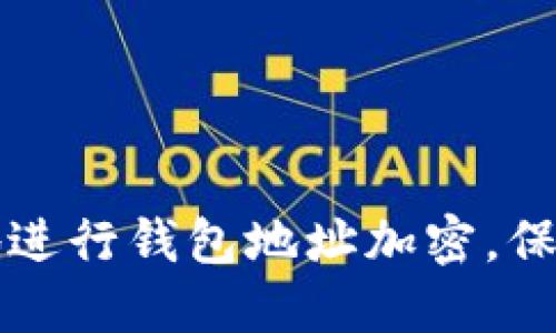 如何高效安全地进行钱包地址加密，保护你的数字资产