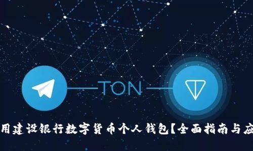 如何使用建设银行数字货币个人钱包？全面指南与应用案例