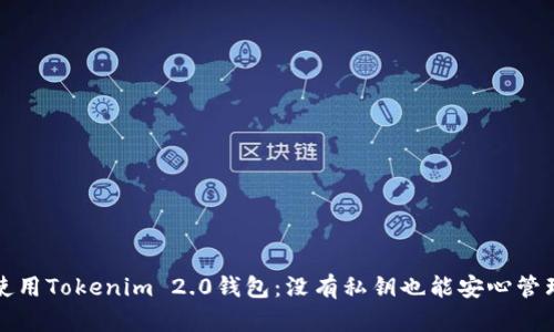 如何安全使用Tokenim 2.0钱包：没有私钥也能安心管理数字资产