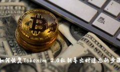 如何恢复Tokenim 2.0私钥导出