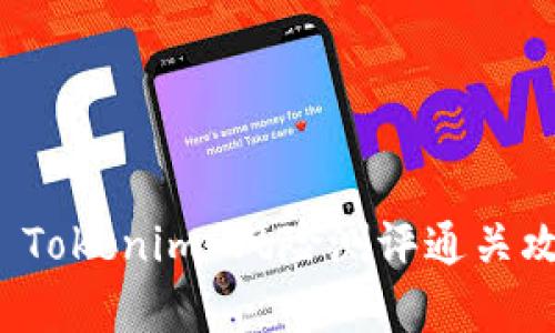全面解析 Tokenim 风险测评通关攻略与技巧