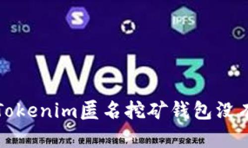 如何解决Tokenim匿名挖矿钱包没有币的问题