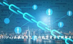 探索BitPay区块链钱包：你