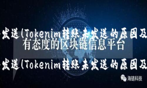 忘记点击发送！Tokenim转账未发送的原因及解决方法

忘记点击发送！Tokenim转账未发送的原因及解决方法