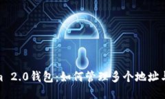 Tokenim 2.0钱包：如何管理多