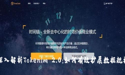 深入解析Tokenim 2.0：如何有效扩展数据规模