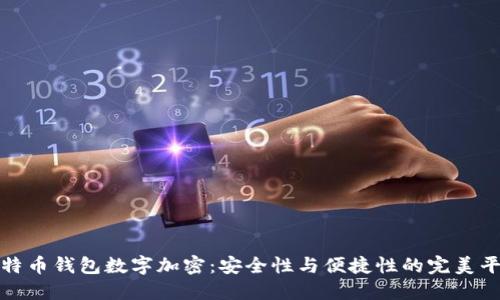 比特币钱包数字加密：安全性与便捷性的完美平衡