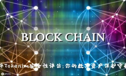 软件Tokenim安全性评估：你的数字资产保护守护者
