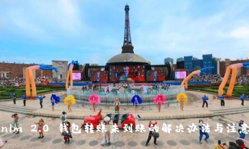 Tokenim 2.0 钱包转账未到账的解决办法与注意事项