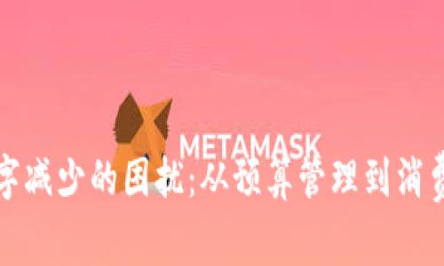 如何应对钱包数字减少的困扰：从预算管理到消费心理的深度解析