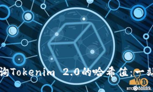 如何查询Tokenim 2.0的哈希值：一站式指南