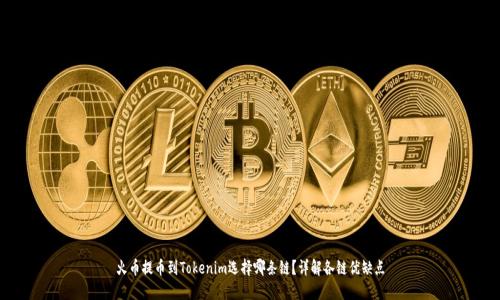 火币提币到Tokenim选择哪条链？详解各链优缺点