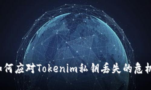 如何应对Tokenim私钥丢失的危机？