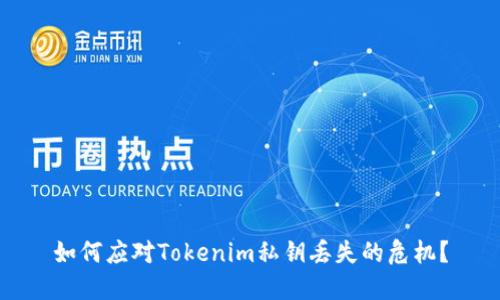 如何应对Tokenim私钥丢失的危机？
