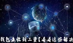 数字钱包未收到工资？看