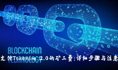 如何支付Tokenim 2.0的矿工费：详细步骤与注意事项