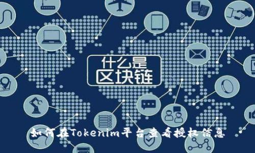如何在Tokenim平台查看授权信息