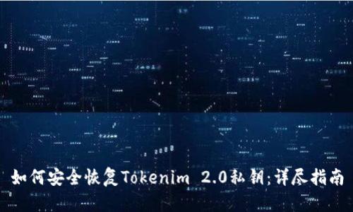 如何安全恢复Tokenim 2.0私钥：详尽指南