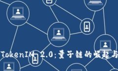 深入探索TokenIM 2.0：量子链