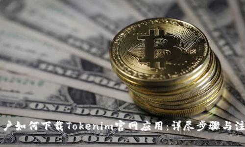 苹果用户如何下载Tokenim官网应用：详尽步骤与注意事项