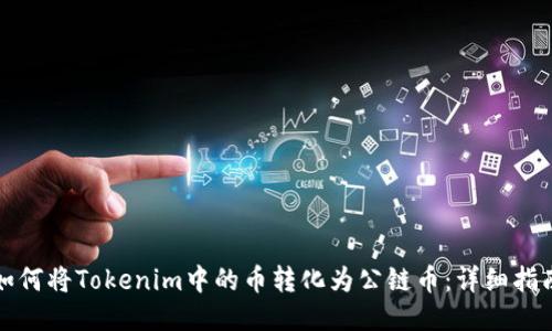 如何将Tokenim中的币转化为公链币:详细指南