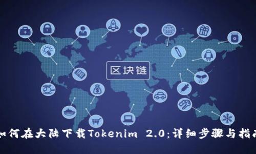 如何在大陆下载Tokenim 2.0：详细步骤与指南