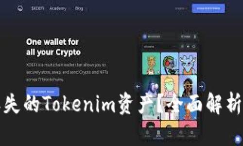 如何追回丢失的Tokenim资产？全面解析与解决方案