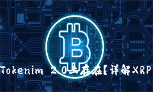 : XRP能否在Tokenim 2.0上存在？详解XRP的未来与潜力